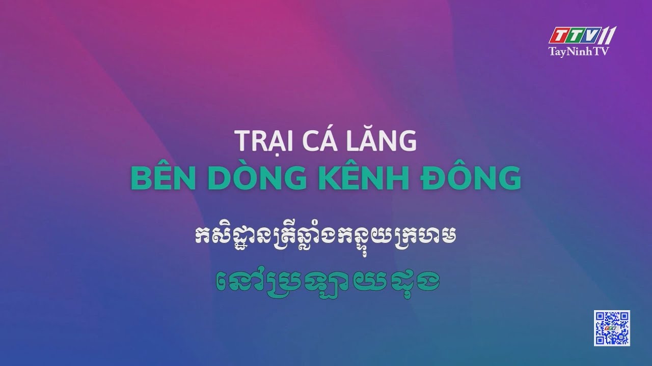 Trại cá lăng nha bên dòng kênh Đông | NÔNG NGHIỆP TÂY NINH | TayNinhTVToday